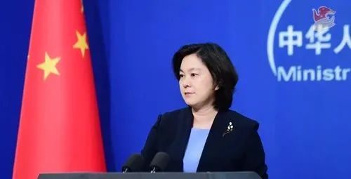 华春莹(图源:外交部网站)